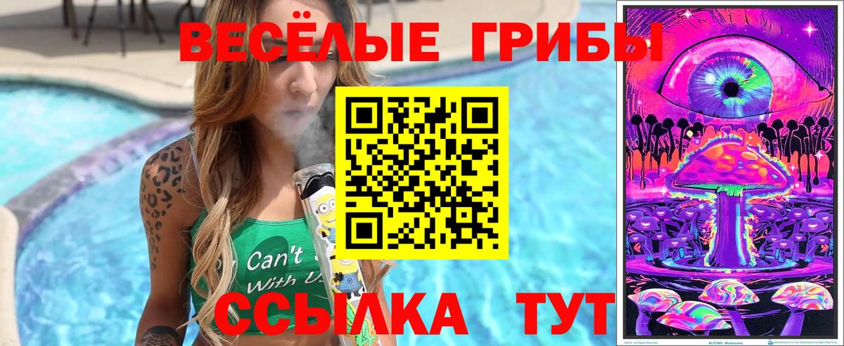 Псилоцибиновые грибы Psilocybe Истра